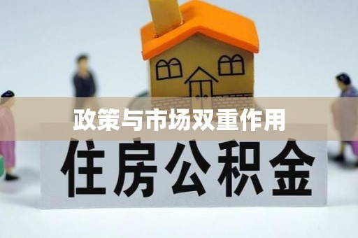 兴县政策与市场双重作用