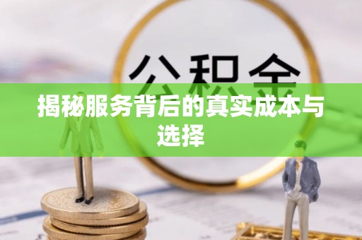 兴县揭秘服务背后的真实成本与选择