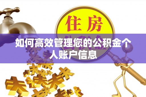 兴县如何高效管理您的公积金个人账户信息