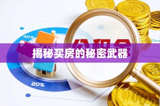 兴县揭秘买房的秘密武器