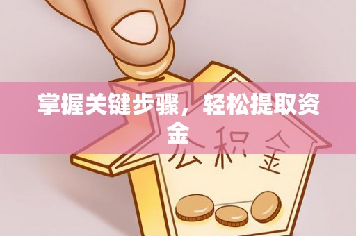 兴县掌握关键步骤，轻松提取资金