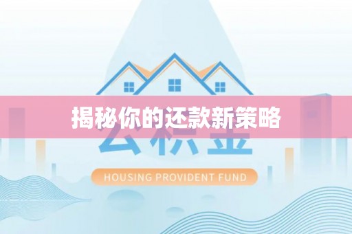 兴县揭秘你的还款新策略