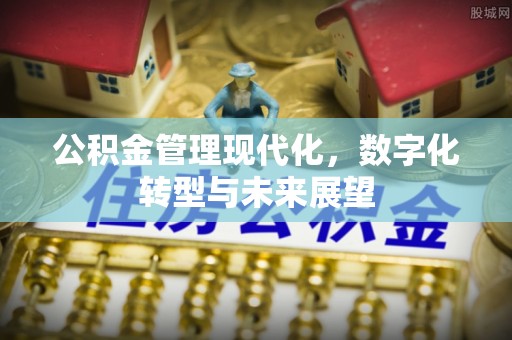 兴县公积金管理现代化，数字化转型与未来展望