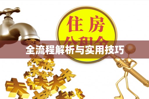 兴县全流程解析与实用技巧