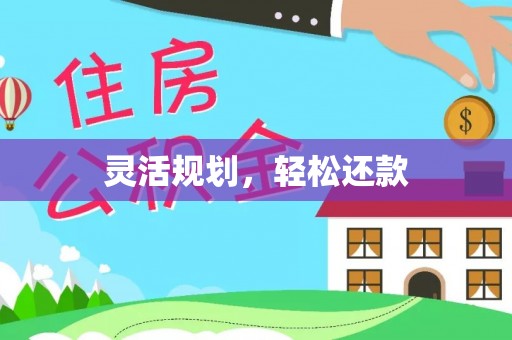 兴县灵活规划，轻松还款