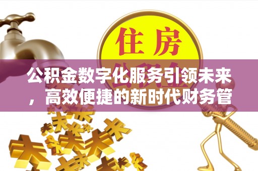 兴县公积金数字化服务引领未来，高效便捷的新时代财务管理