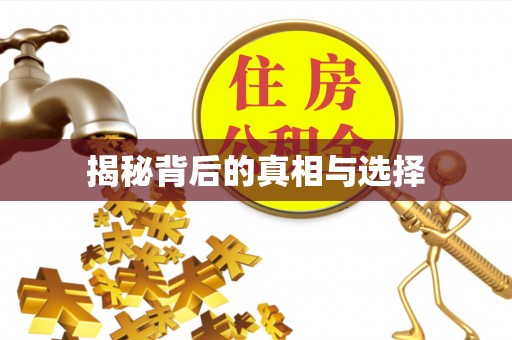 兴县揭秘背后的真相与选择