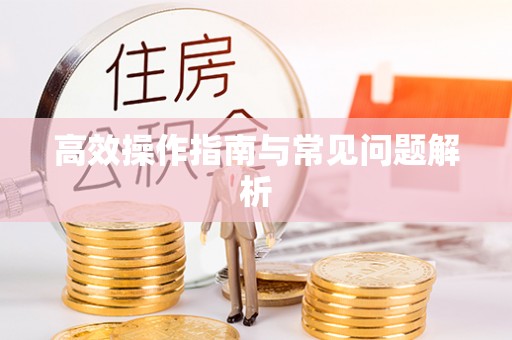 兴县高效操作指南与常见问题解析