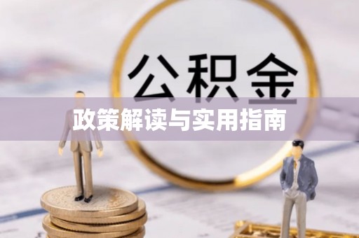 兴县政策解读与实用指南