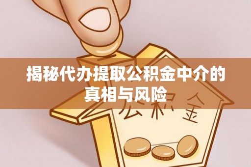 兴县揭秘代办提取公积金中介的真相与风险