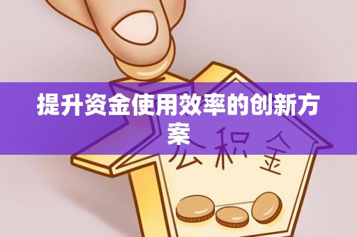兴县提升资金使用效率的创新方案