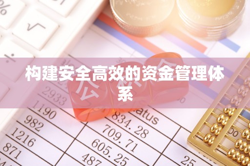 兴县构建安全高效的资金管理体系