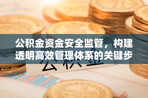 兴县公积金资金安全监管，构建透明高效管理体系的关键步骤