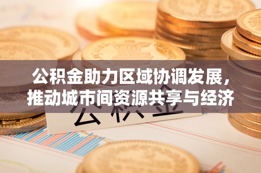 兴县公积金助力区域协调发展，推动城市间资源共享与经济均衡发展