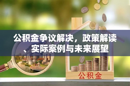 兴县公积金争议解决，政策解读、实际案例与未来展望