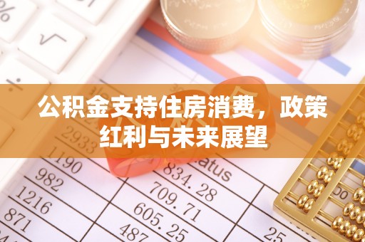 兴县公积金支持住房消费，政策红利与未来展望