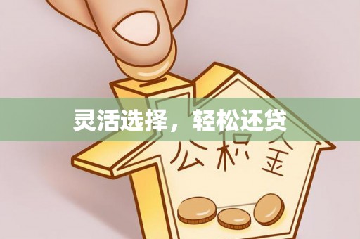 兴县灵活选择，轻松还贷