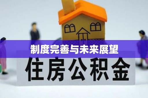 兴县制度完善与未来展望