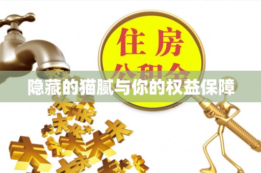兴县隐藏的猫腻与你的权益保障
