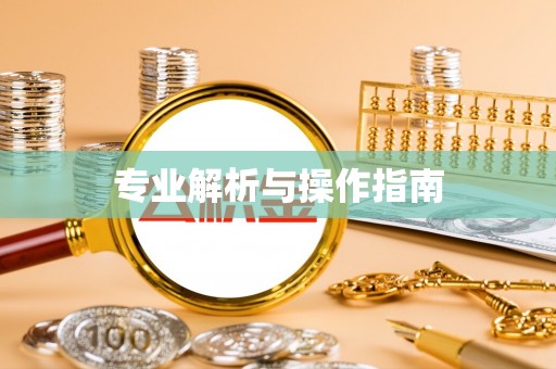 兴县专业解析与操作指南