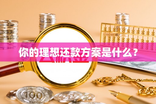 兴县你的理想还款方案是什么？