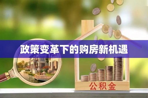 兴县政策变革下的购房新机遇