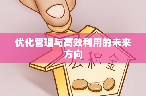 兴县优化管理与高效利用的未来方向