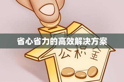 兴县省心省力的高效解决方案