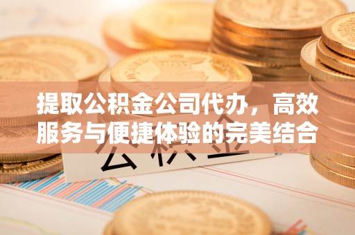 兴县提取公积金公司代办，高效服务与便捷体验的完美结合