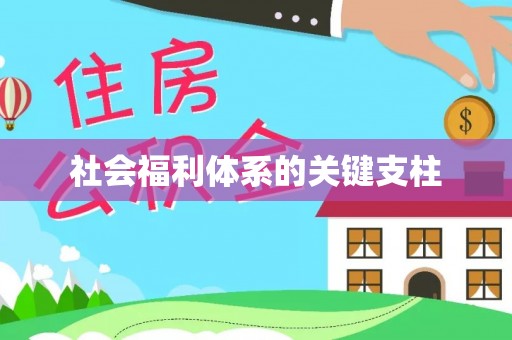兴县社会福利体系的关键支柱