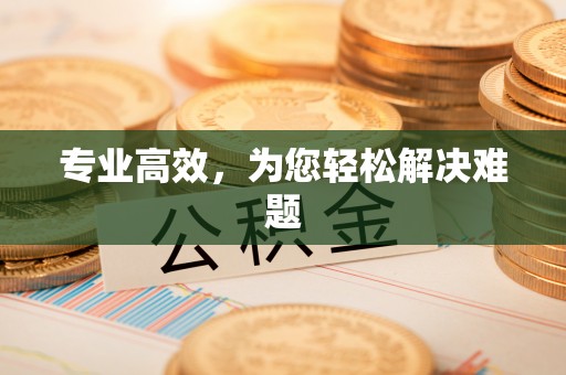 兴县专业高效，为您轻松解决难题