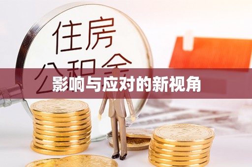 兴县影响与应对的新视角