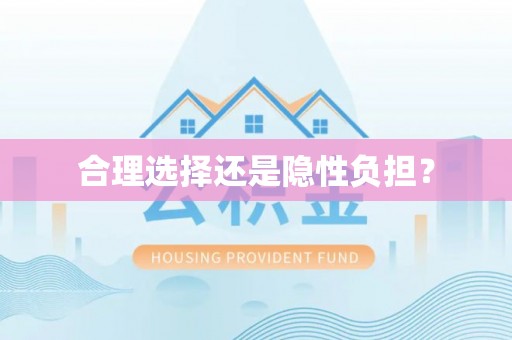 兴县合理选择还是隐性负担？