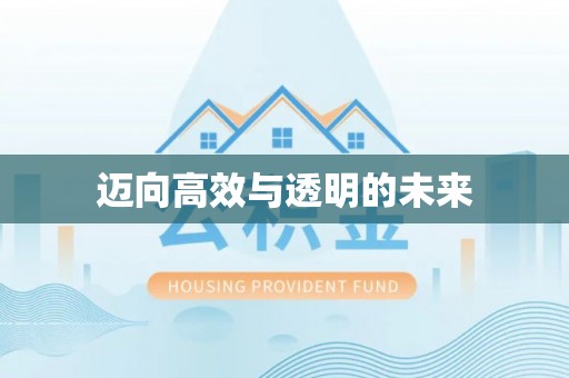 兴县迈向高效与透明的未来