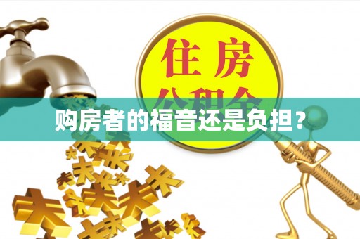 兴县购房者的福音还是负担？