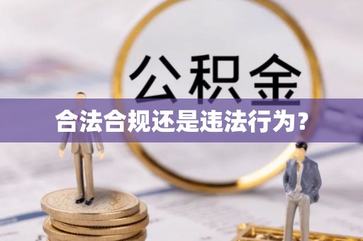 兴县合法合规还是违法行为？