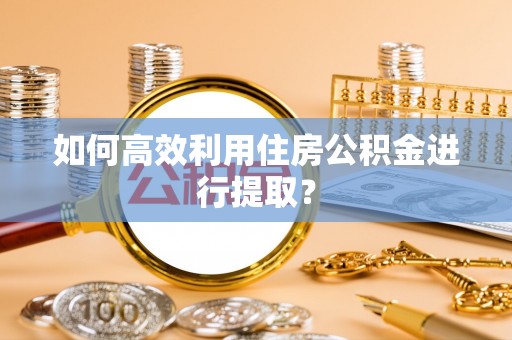 兴县如何高效利用住房公积金进行提取？