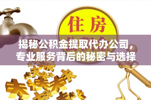 兴县揭秘公积金提取代办公司，专业服务背后的秘密与选择指南