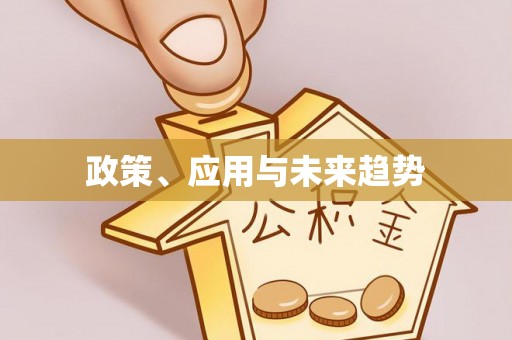 兴县政策、应用与未来趋势