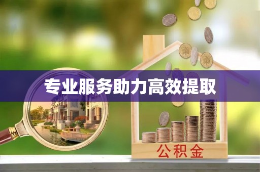 兴县专业服务助力高效提取