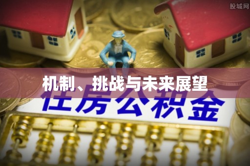 兴县机制、挑战与未来展望