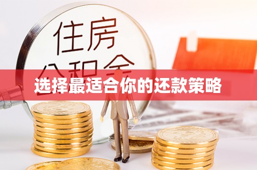 兴县选择最适合你的还款策略