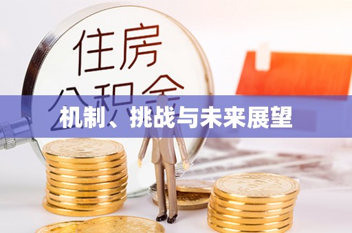 兴县机制、挑战与未来展望