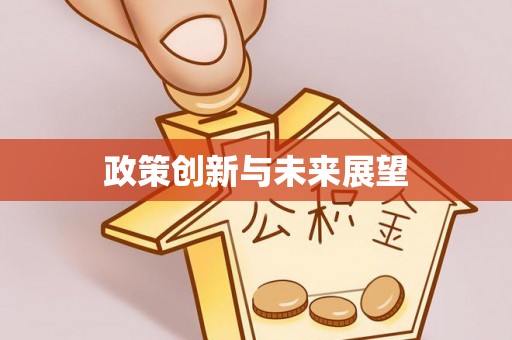 兴县政策创新与未来展望