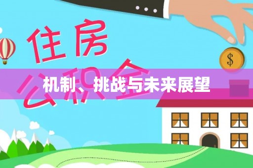 兴县机制、挑战与未来展望